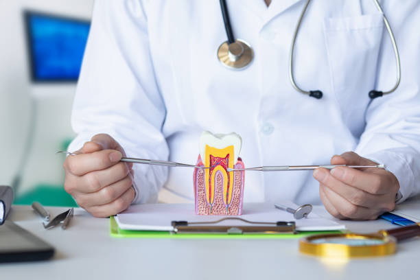 Best Weekend Emergency Dentist in Madison Heights, MI